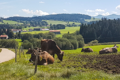 Handbikereise 2018