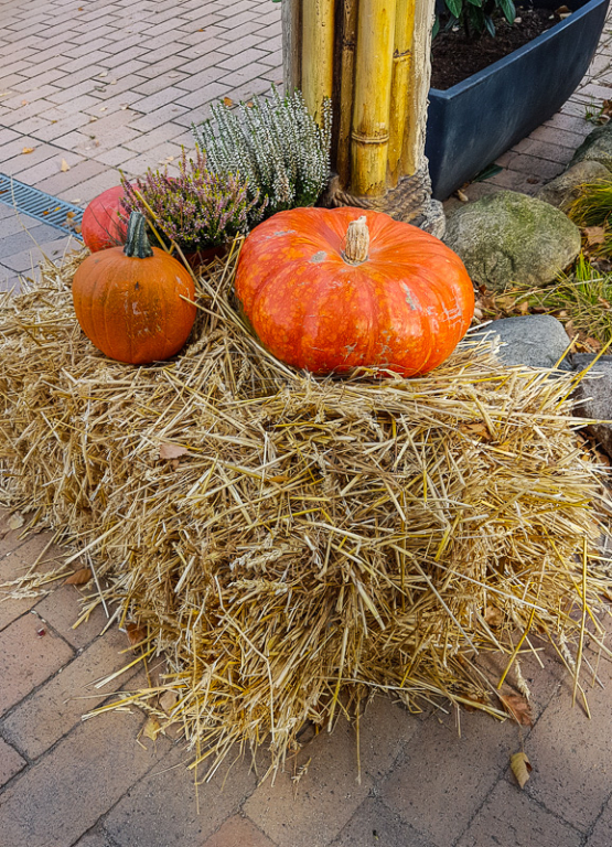 Herbstdeko auf eim MHP18 :)