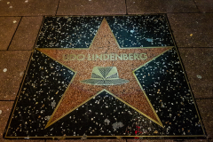 Udos Stern auf der Reeperbahn - PANIK CITY 2018