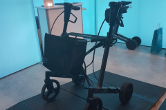 Motorisierter Rollator