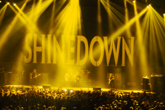 Shinedown