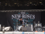 THE NEW ROSES -BOA18