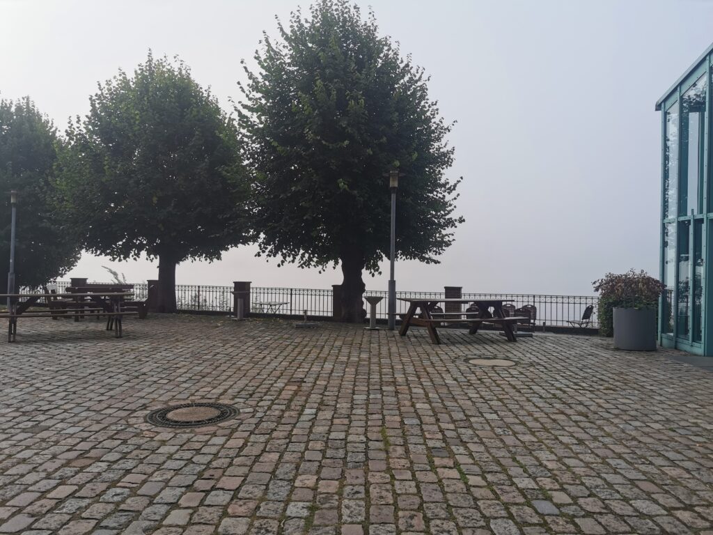 Blick auf die im Nebel nicht sichtbare Elbe