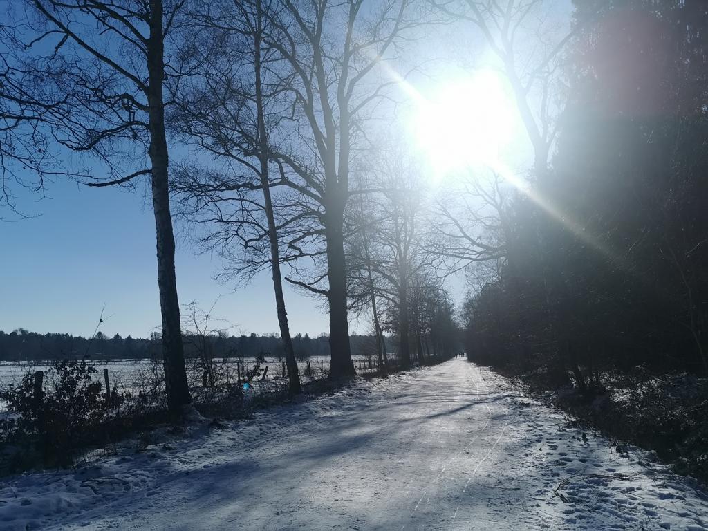 Winterlandschaft mit Weg gegen die Sonne fotografiert