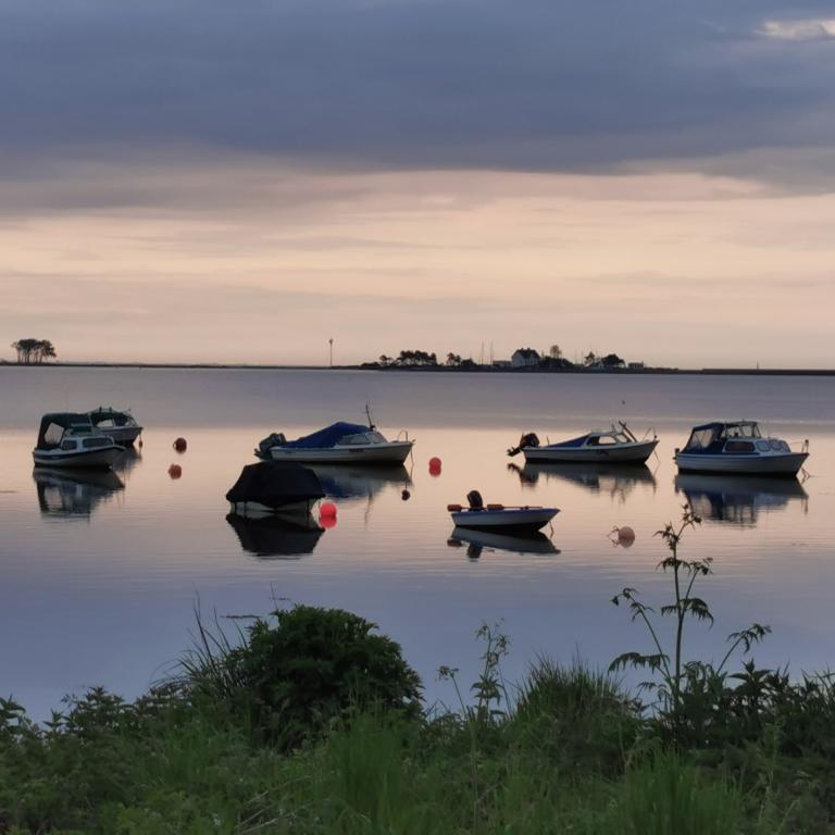 Blick in der Abenddämmerung über die Schlei mit Segelbooten 